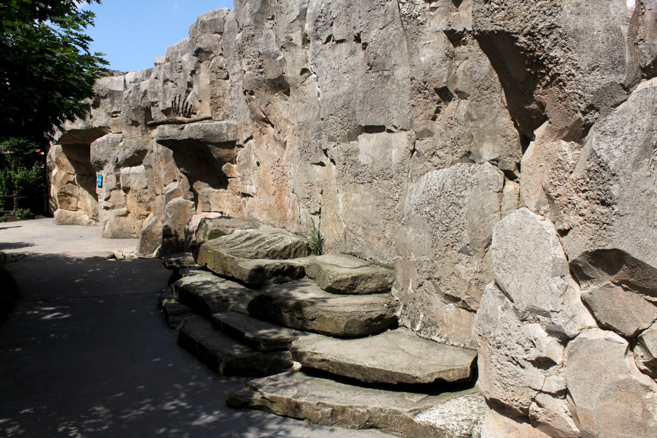 Zoo am Meer - Puma exhibit
