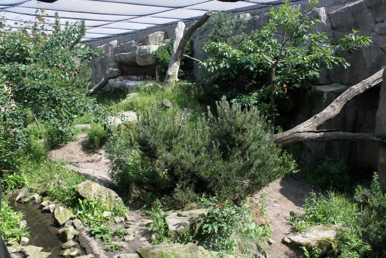 Zoo am Meer - Puma exhibit