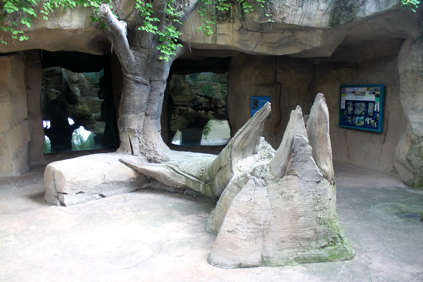 Zoo Am Meer - Rainforest area
