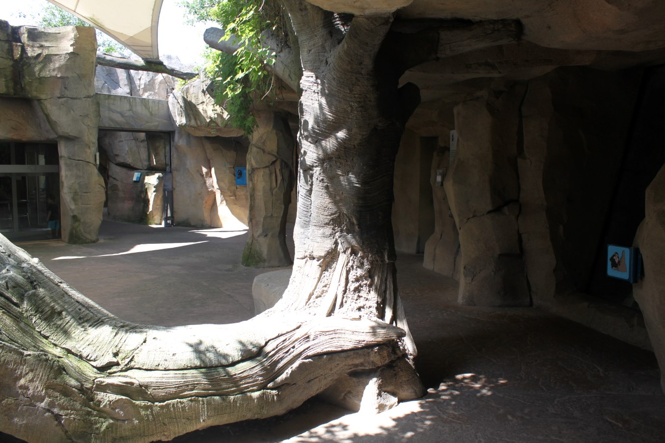 Zoo Am Meer - Rainforest area