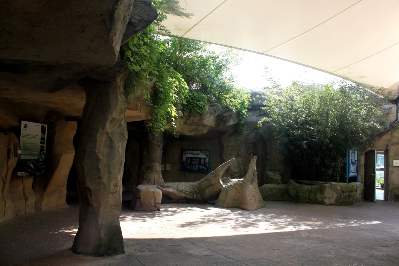 Zoo Am Meer - Rainforest area