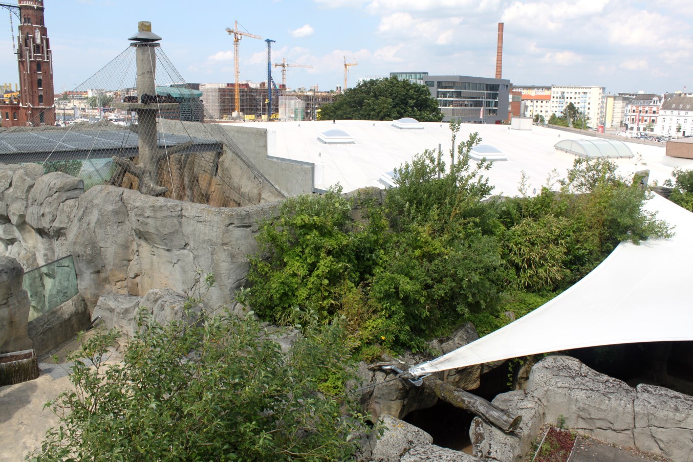 Zoo Am Meer - Rainforest area