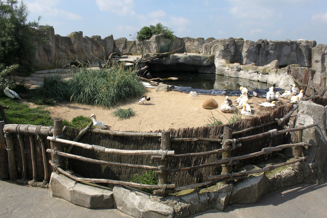 Zoo am Meer - Sea bird exhibit