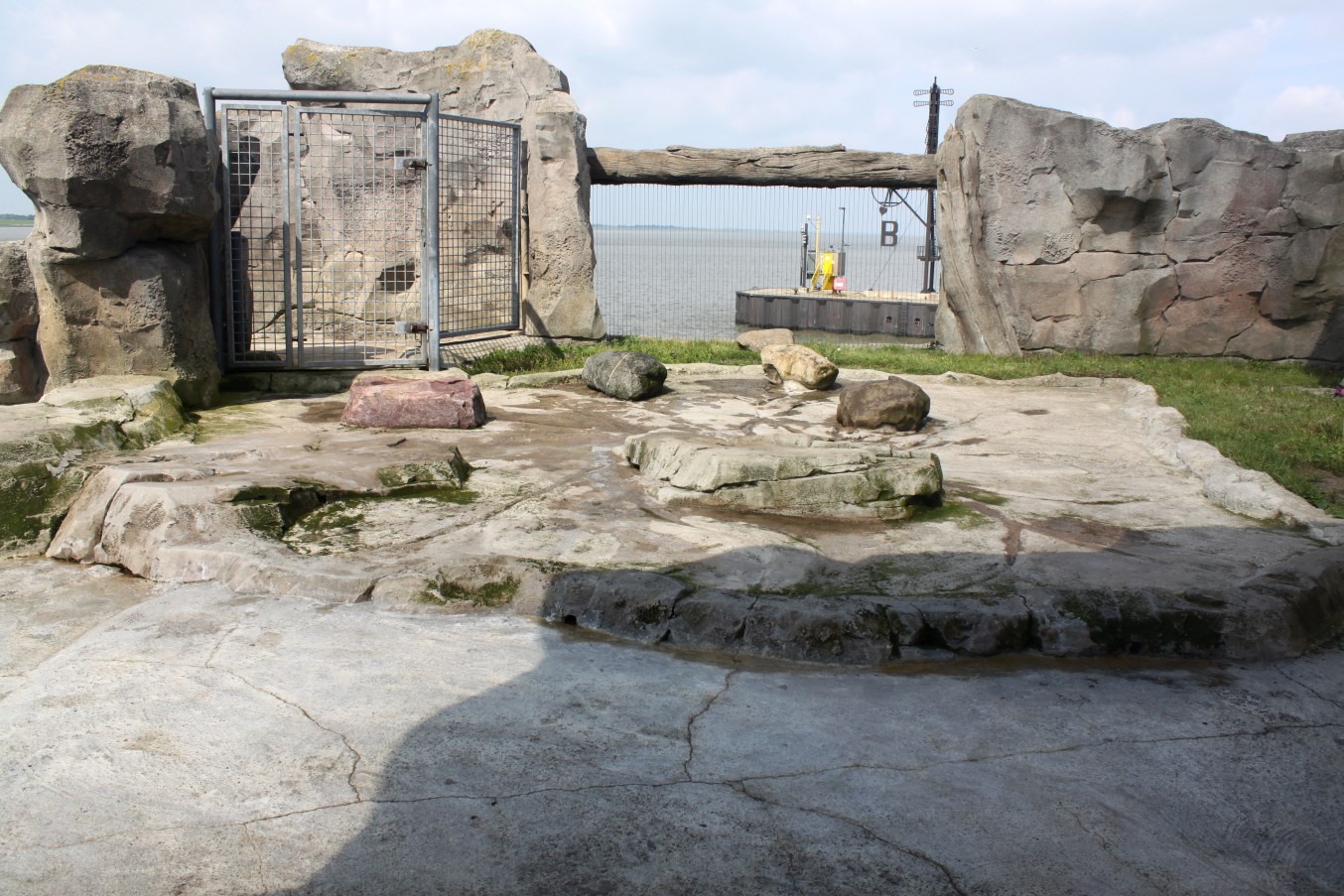 Zoo am Meer - Sea lion exhibit