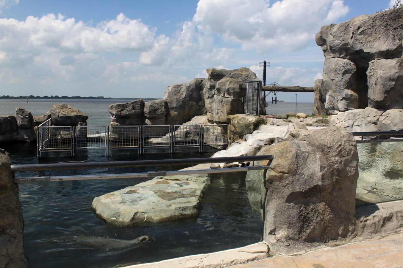 Zoo am Meer - Sea lion exhibit