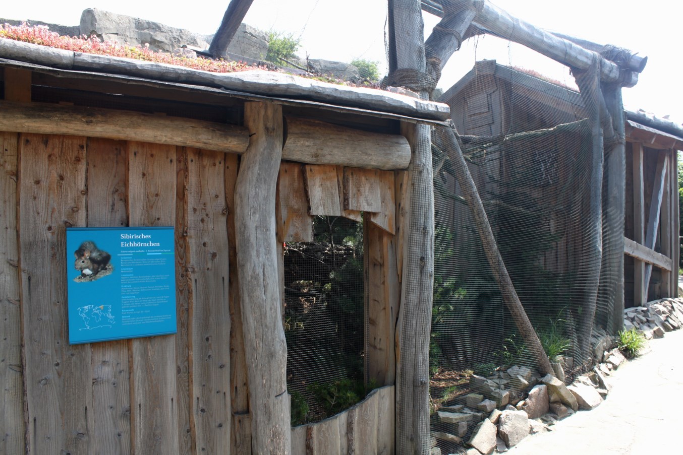 Zoo am Meer - Siberian red squirrel exhibit