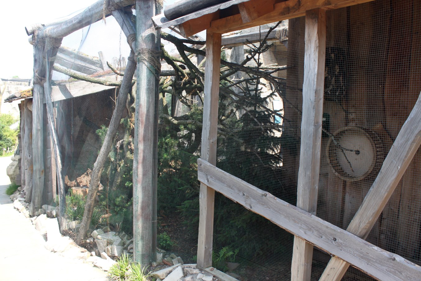 Zoo am Meer - Siberian red squirrel exhibit