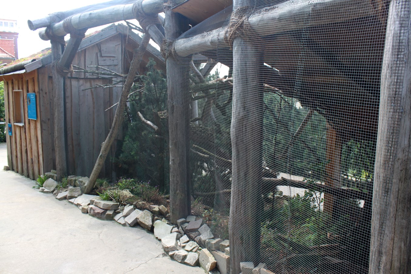 Zoo am Meer - Siberian red squirrel exhibit