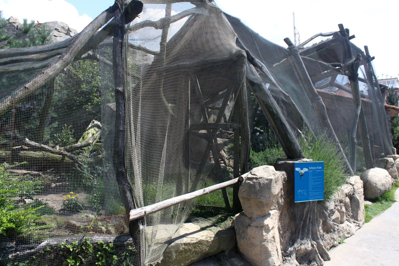Zoo am Meer - Snowy owl aviary