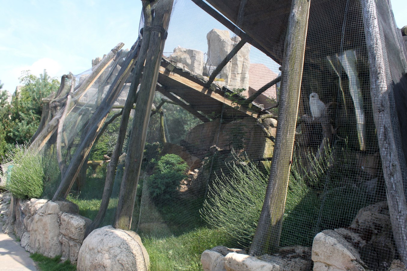 Zoo am Meer - Snowy owl aviary