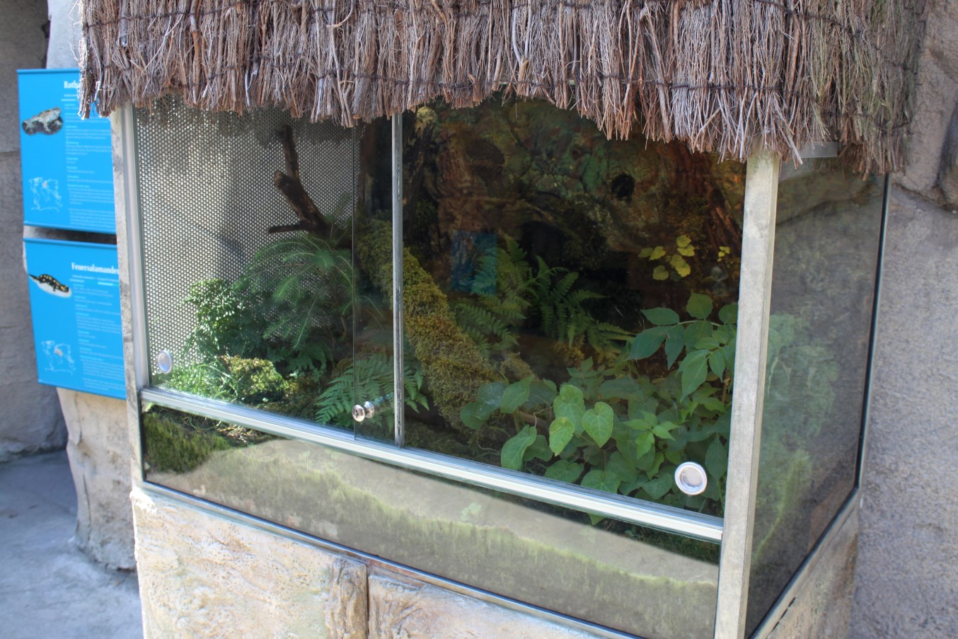 Zoo am Meer - Terrarium