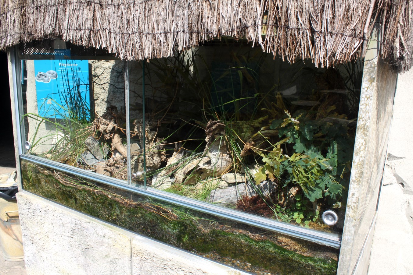 Zoo am Meer - Terrarium