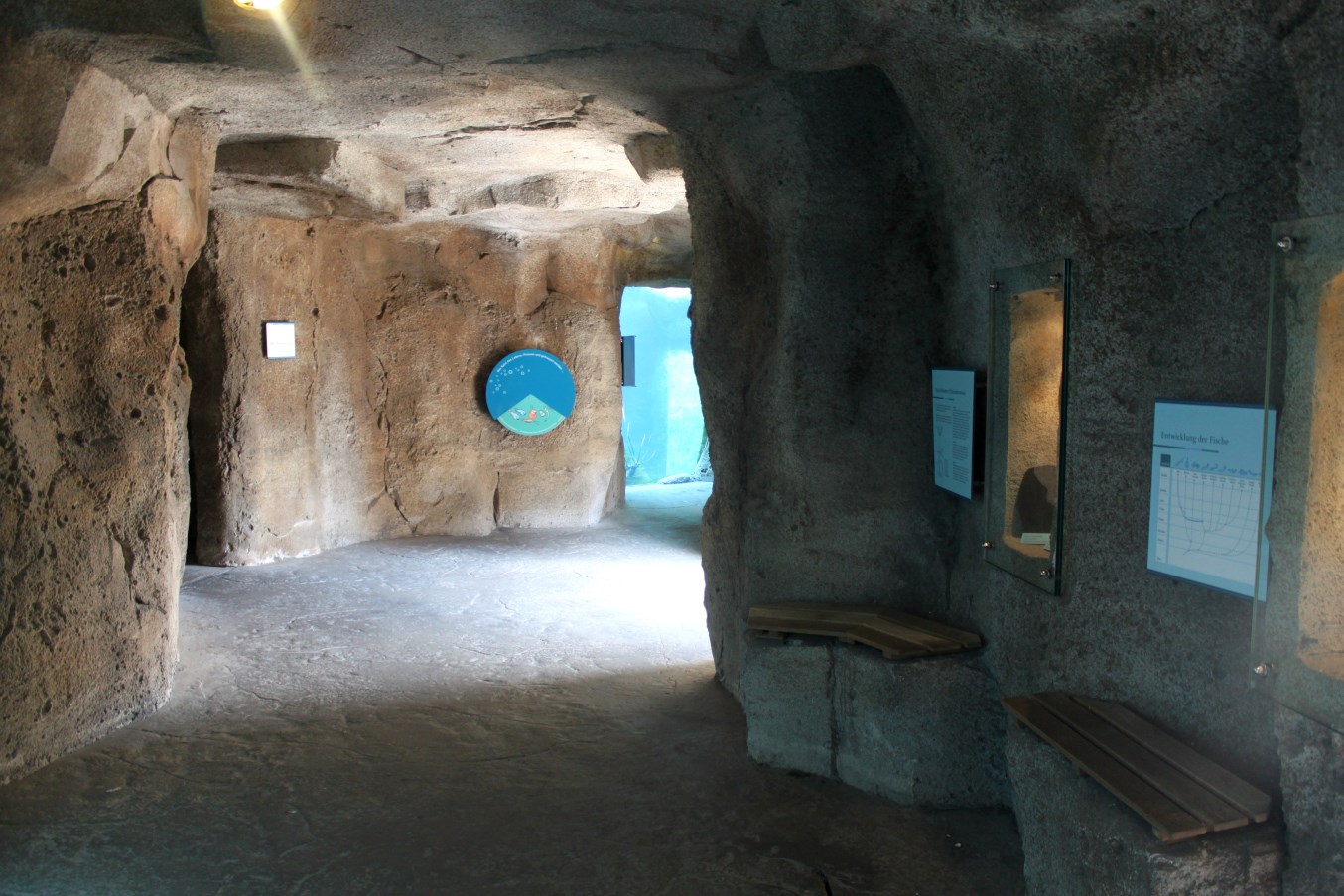 Zoo am Meer - Underwater viewing cave