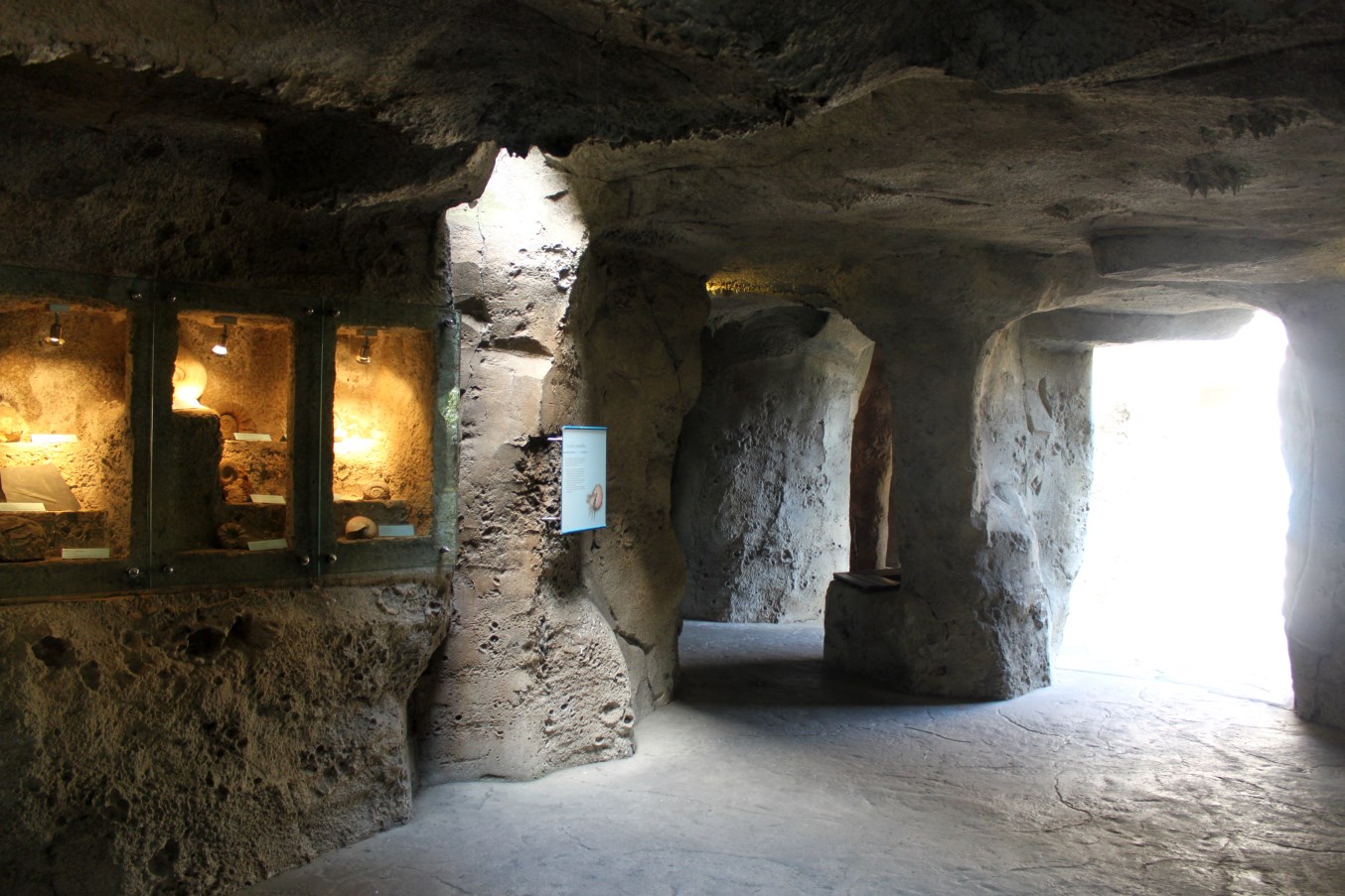 Zoo am Meer - Underwater viewing cave