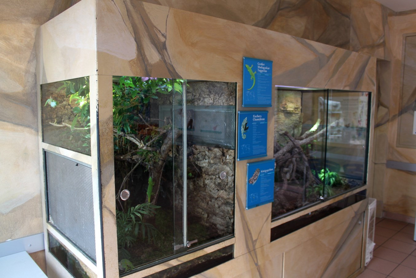 Zoo Am Meer - Zoo School terrariums