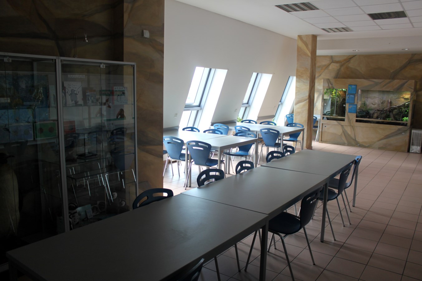 Zoo Am Meer - Zoo School