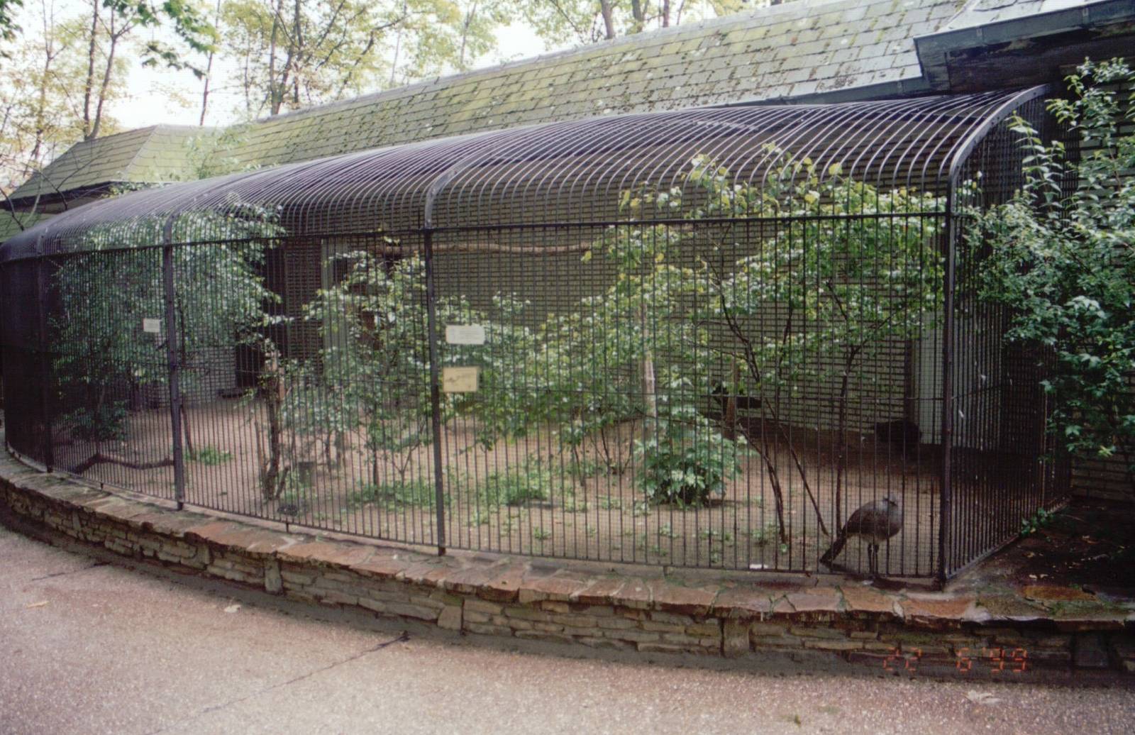 Zoo Antwerpen 1999 - Aviary