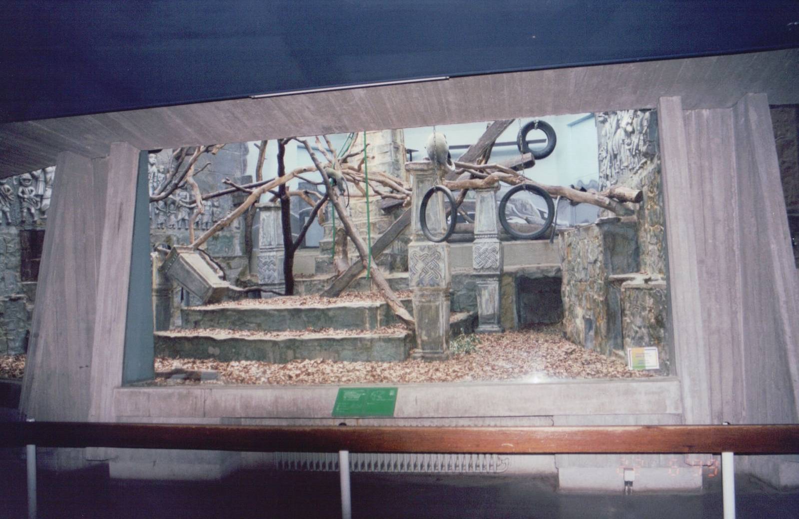 Zoo Antwerpen 1999 - Inside the Monkey House
