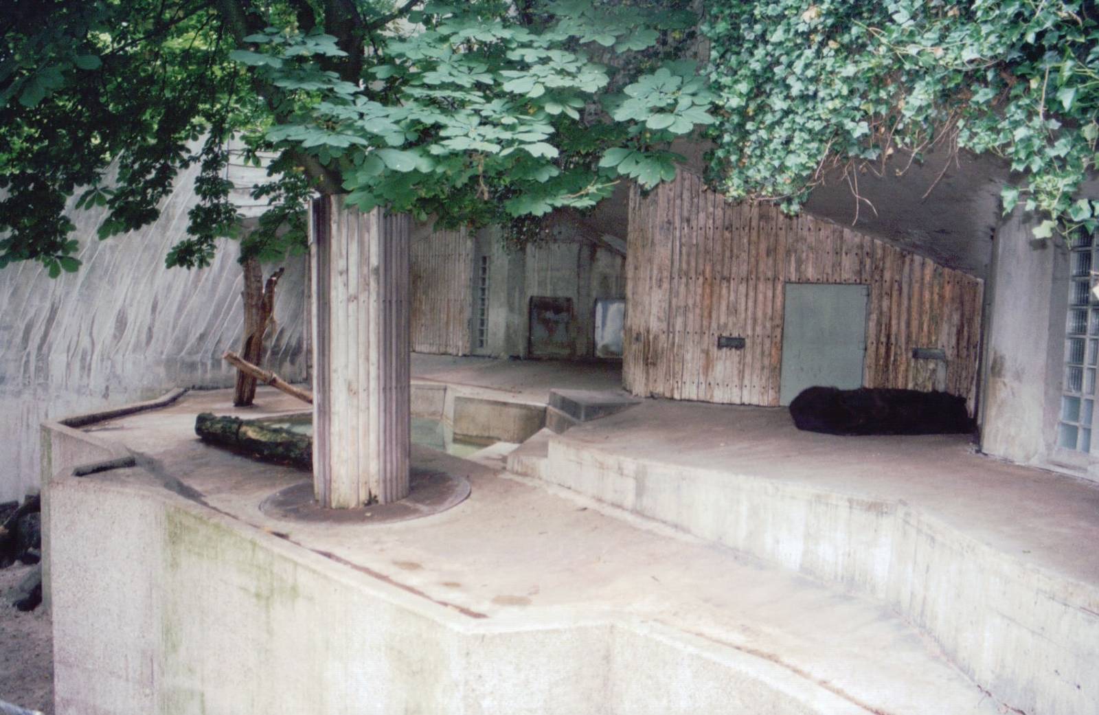 Zoo Antwerpen 1999 - Kamchatka Brown Bear exhibit