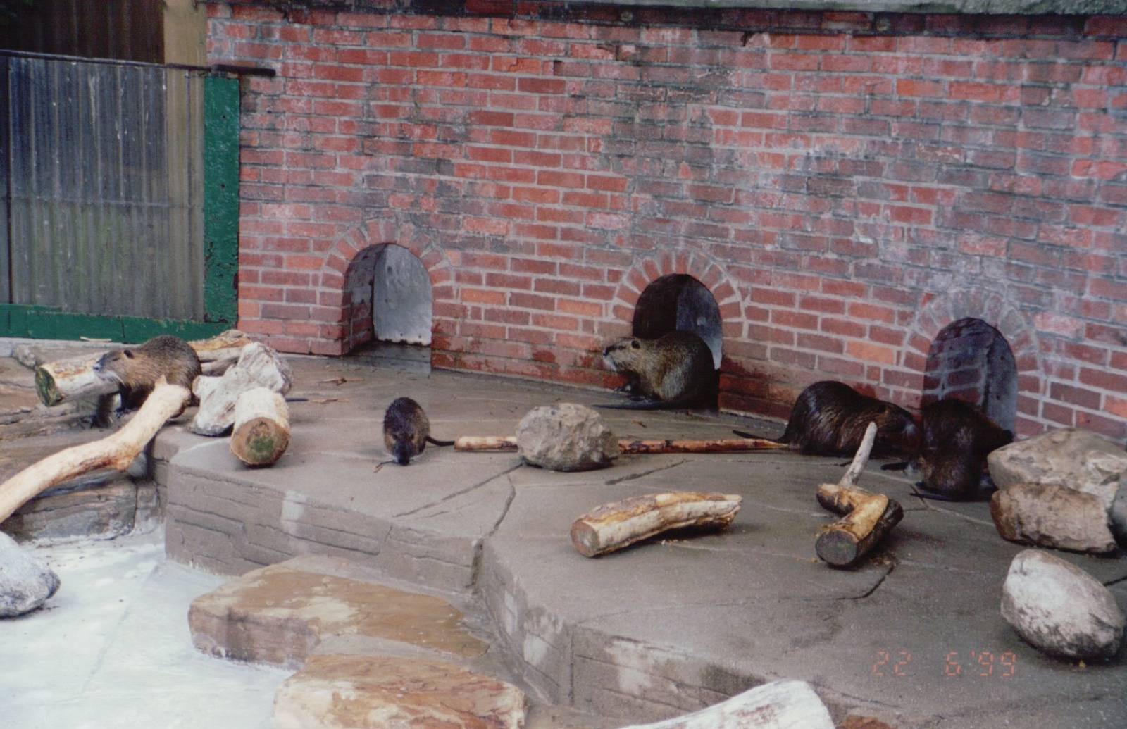 Zoo Antwerpen 1999 - Part of Nutria exhibit