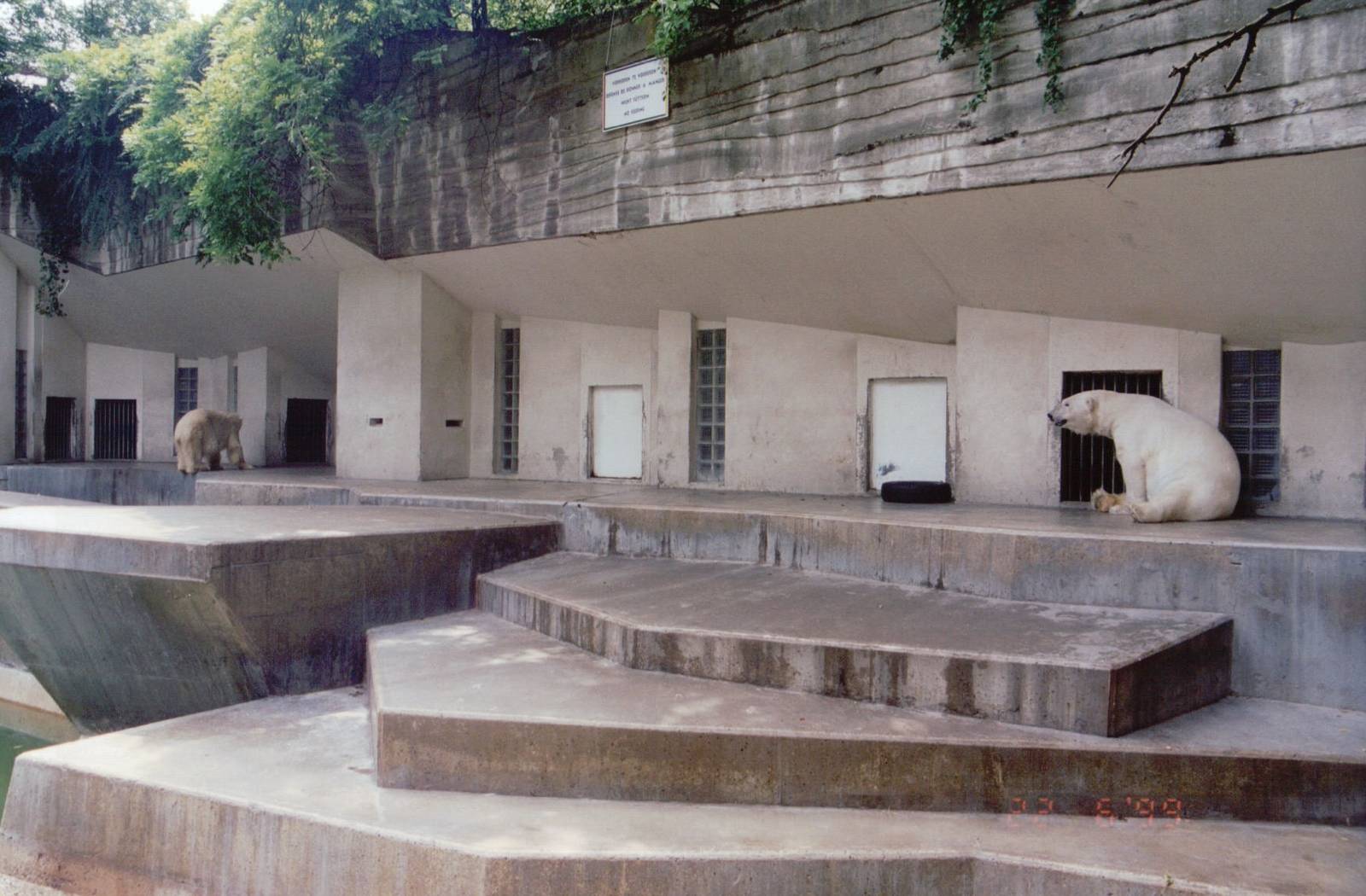 Zoo Antwerpen 1999 - Polar Bear exhibit