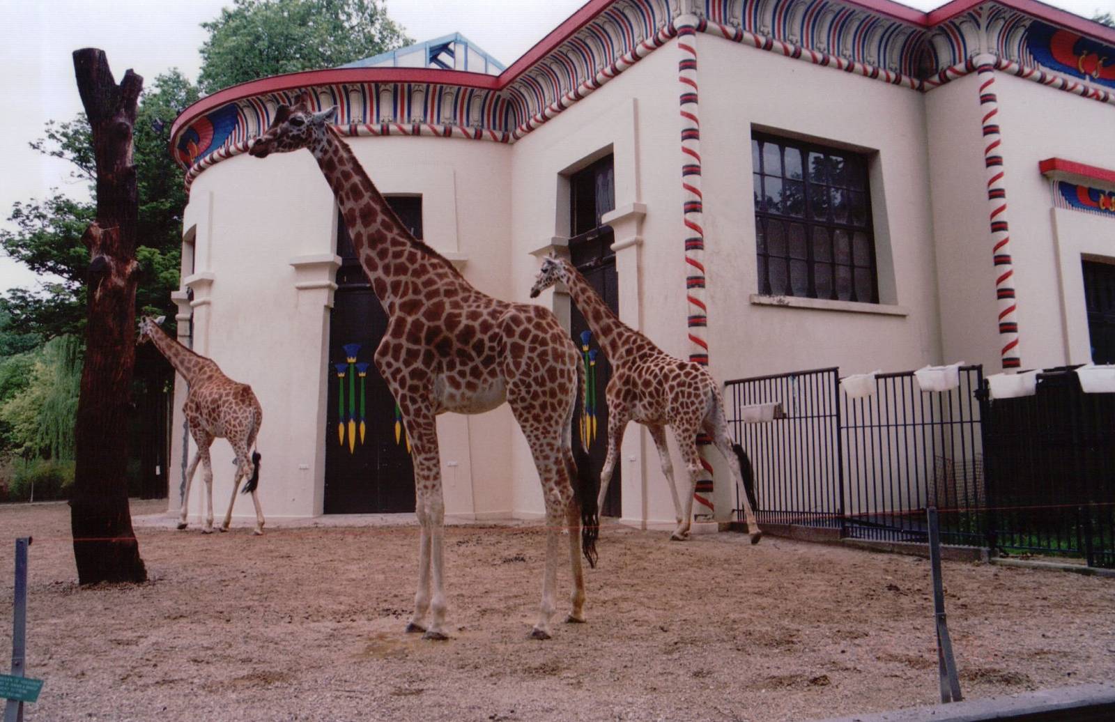Zoo Antwerpen 1999 - Side of the Giraffe House
