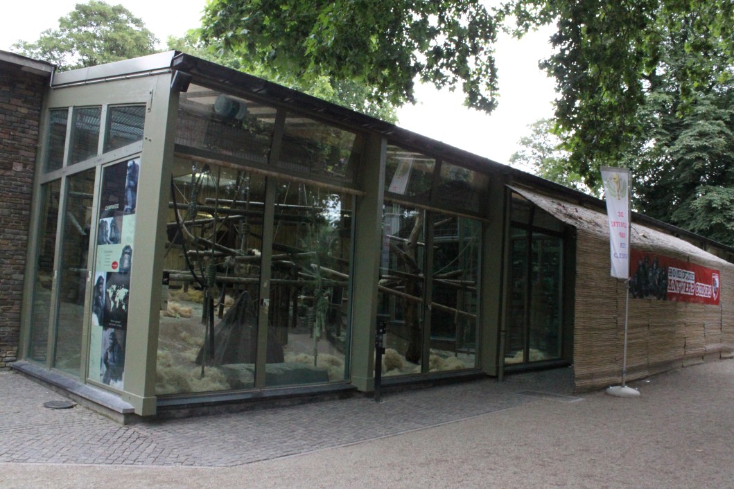 ZOO Antwerpen - Ape House (Chimpanzee)
