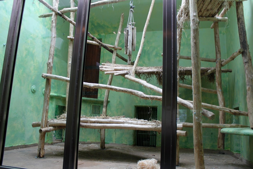 ZOO Antwerpen - Ape House (Gorilla)