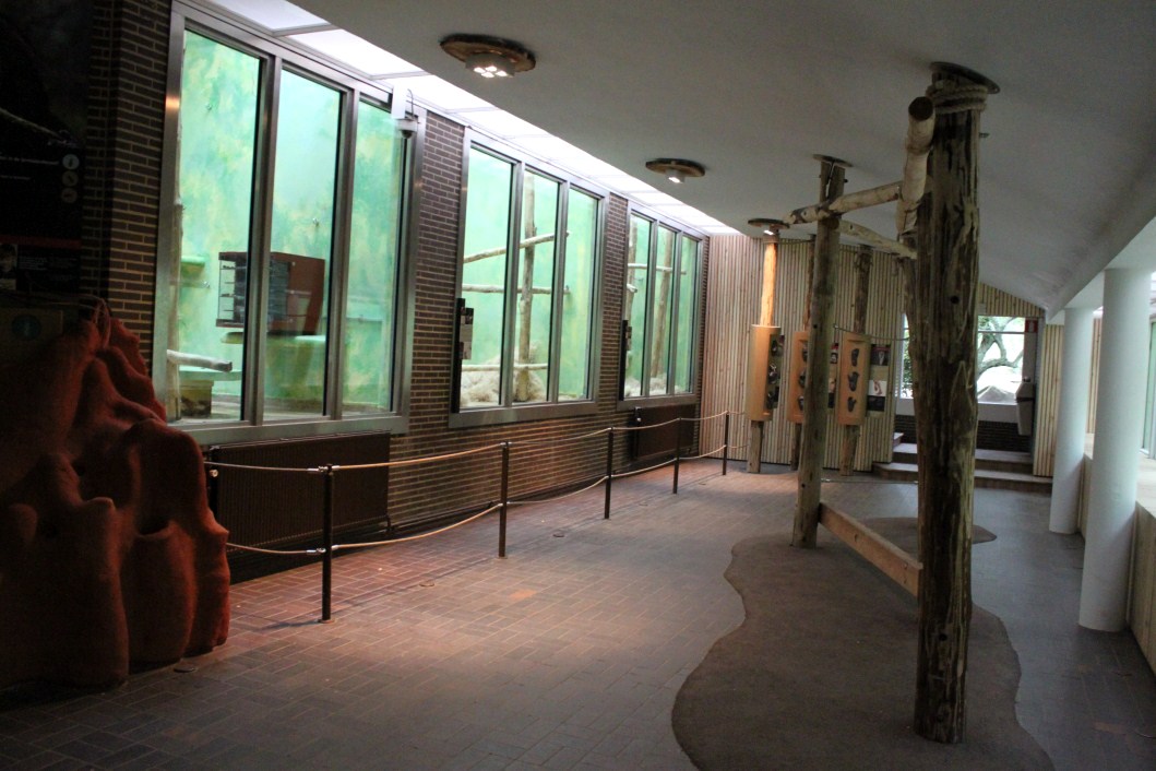 ZOO Antwerpen - Ape House