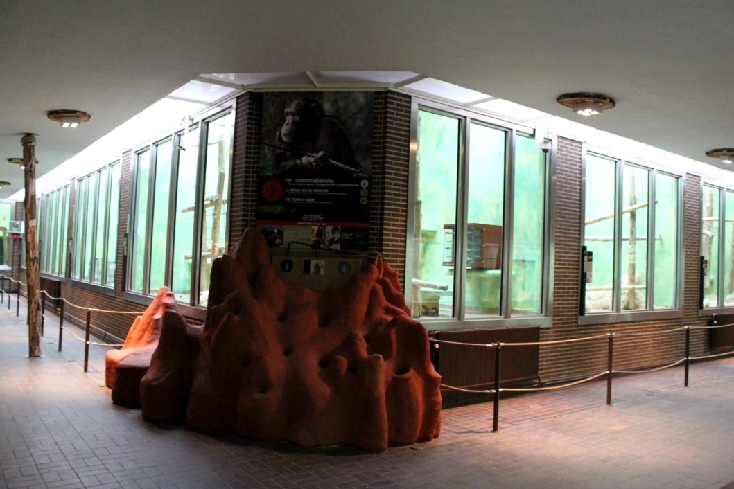 ZOO Antwerpen - Ape House