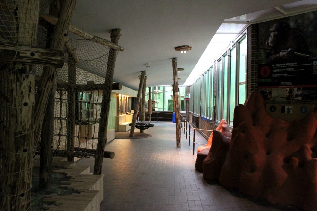ZOO Antwerpen - Ape House