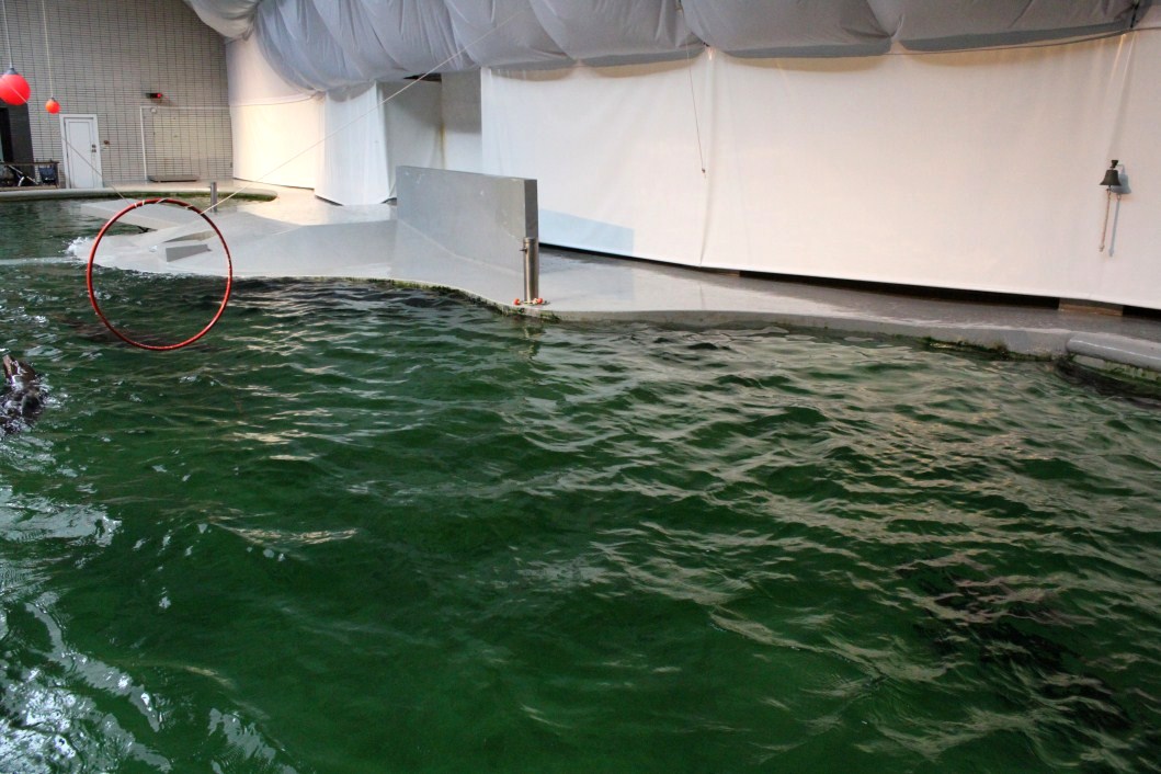 ZOO Antwerpen - Aquaforum