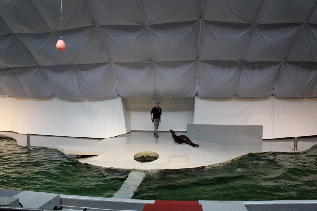 ZOO Antwerpen - Aquaforum