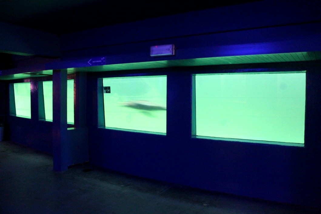 ZOO Antwerpen - Aquaforum