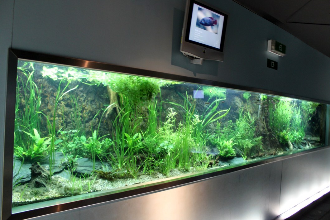 ZOO Antwerpen - Aquarium (Amazon)