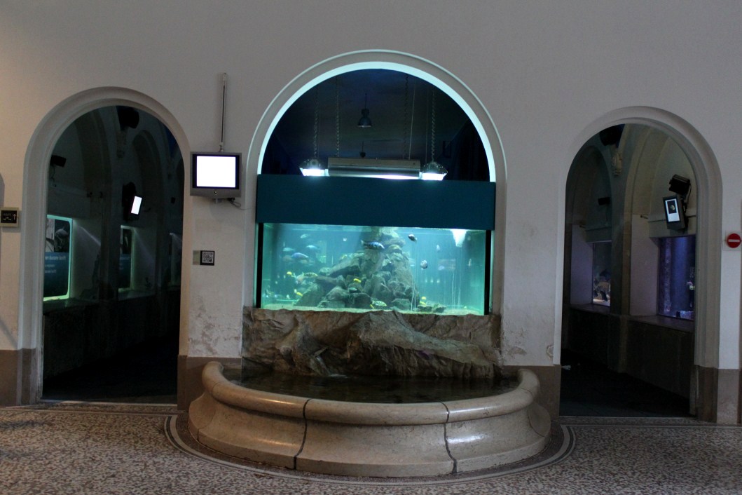 ZOO Antwerpen - Aquarium