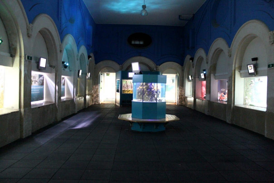 ZOO Antwerpen - Aquarium