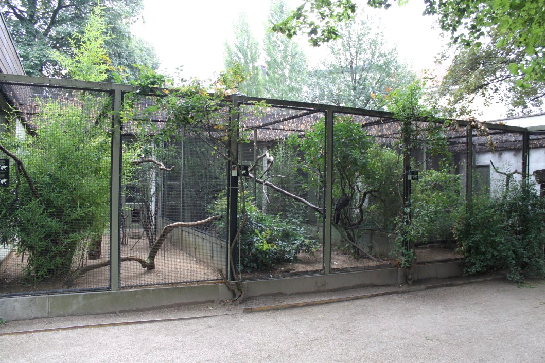 ZOO Antwerpen - Aviaries