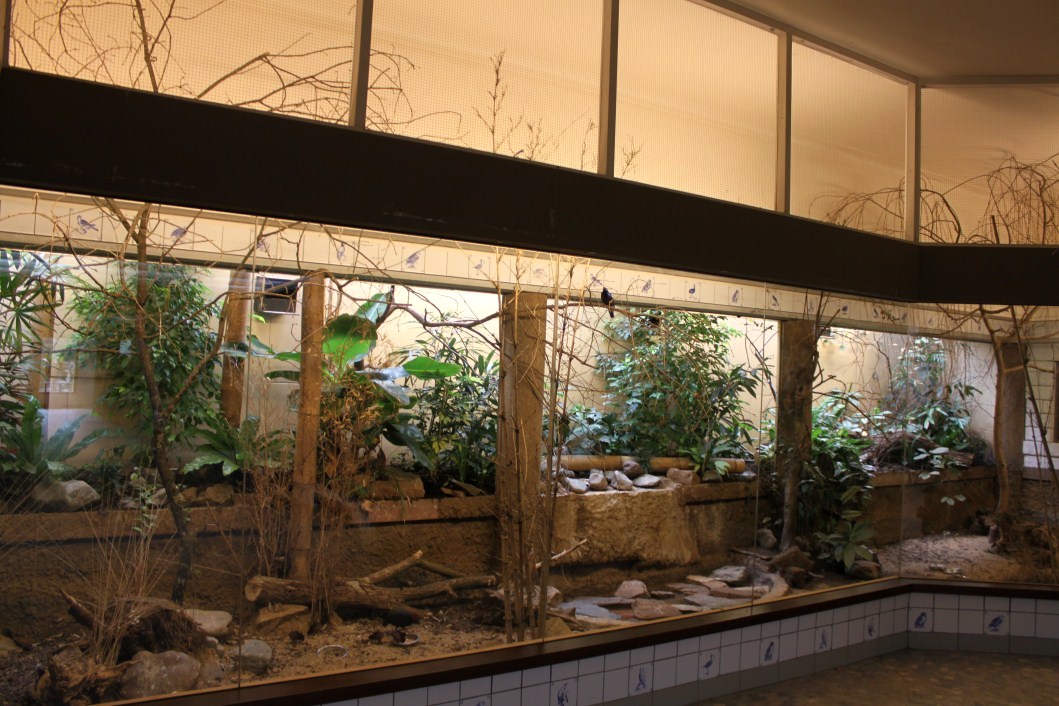 ZOO Antwerpen - Bird House (Asia)