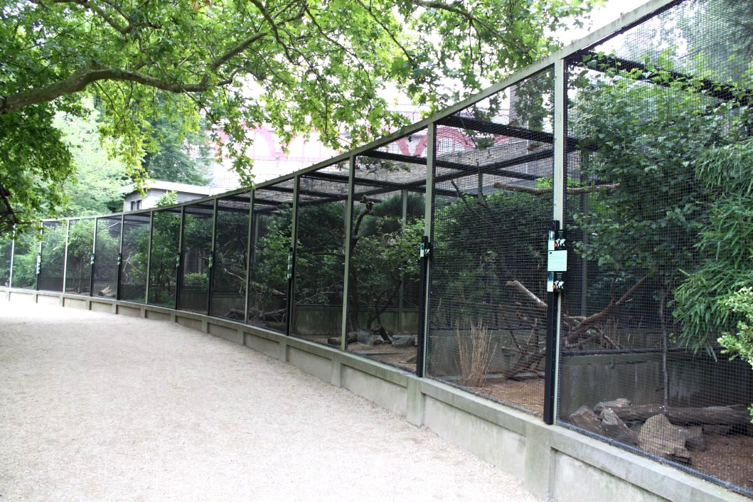ZOO Antwerpen - Bird House (Avaries)