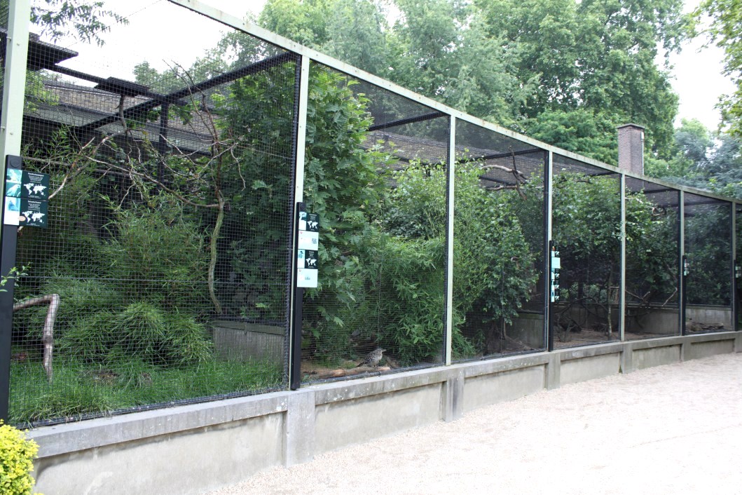 ZOO Antwerpen - Bird House (Avaries)