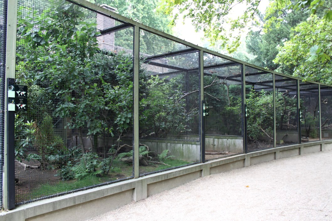 ZOO Antwerpen - Bird House (Avaries)
