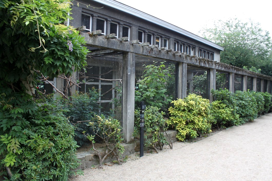 ZOO Antwerpen - Bird House (Aviaries)