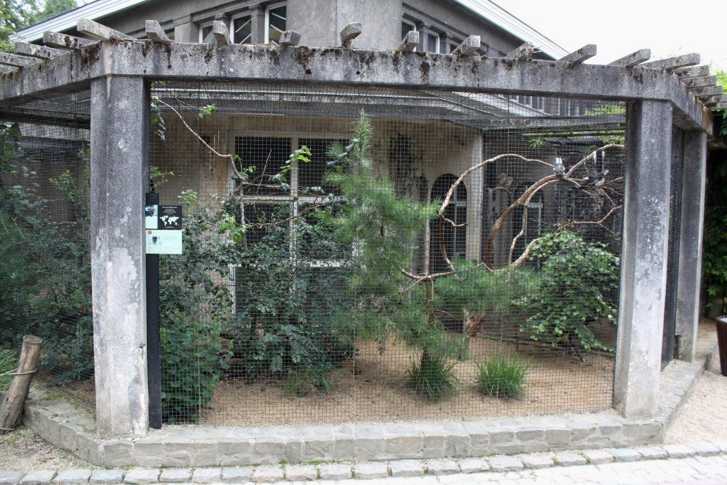 ZOO Antwerpen - Bird House (Hornbill aviary)