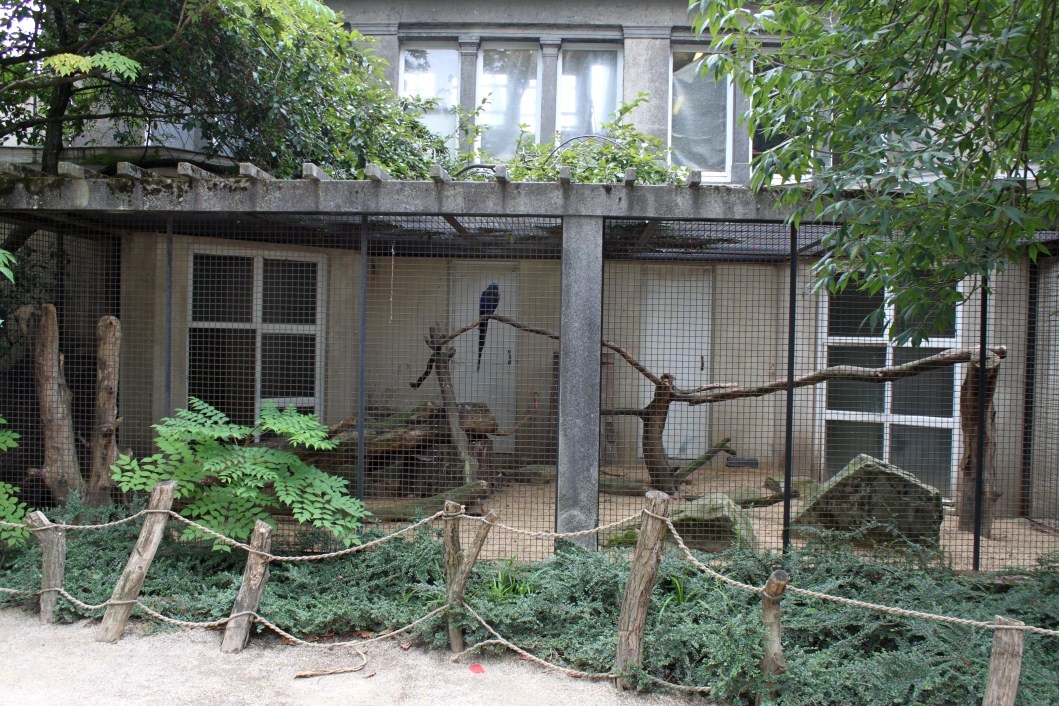 ZOO Antwerpen - Bird House (Macaw aviary)