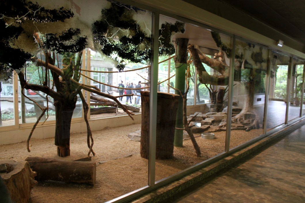 ZOO Antwerpen - Bird House (Macaw exhibit)