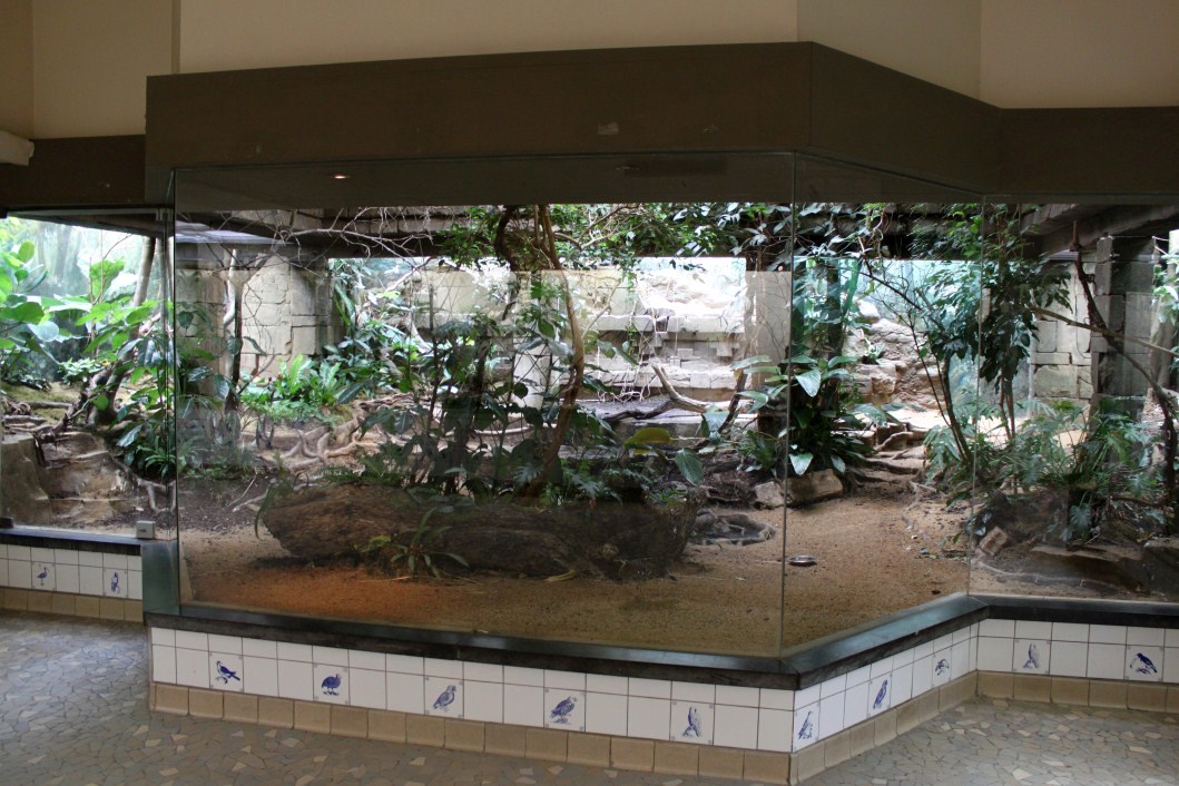 ZOO Antwerpen - Bird House (South America)