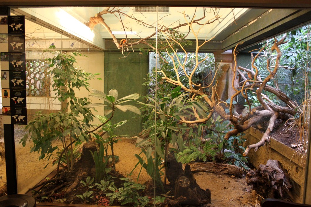 ZOO Antwerpen - Bird House (South America)