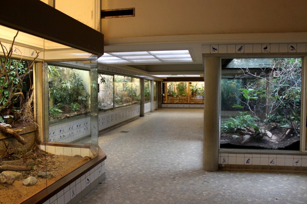 ZOO Antwerpen - Bird House