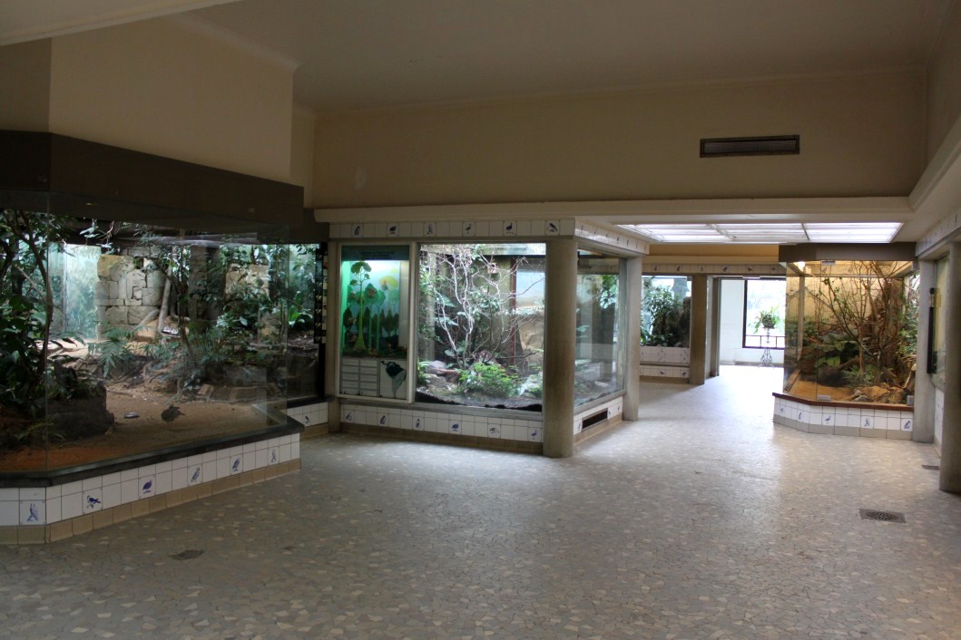 ZOO Antwerpen - Bird House